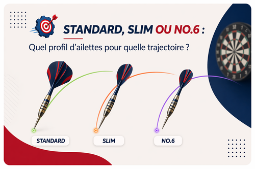 Standard, Slim ou No.6 : Quel profil d'ailettes pour quelle trajectoire ?