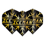 Ailettes Gerwyn Price Iceman Snowflake Or Hardcore - photo 2