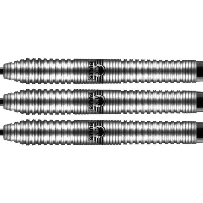 Fléchettes acier Bull's Dirk van Duijvenbode 22g