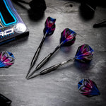 Fléchettes Peter Wright Snakebite 3 Noires 90 % Tungstène 22 g